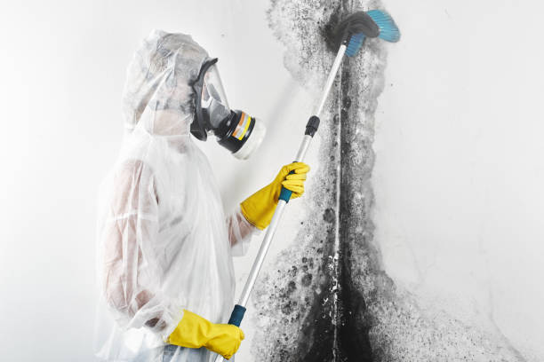 Best Post-Remediation Verification Testing  in Botkins, OH
