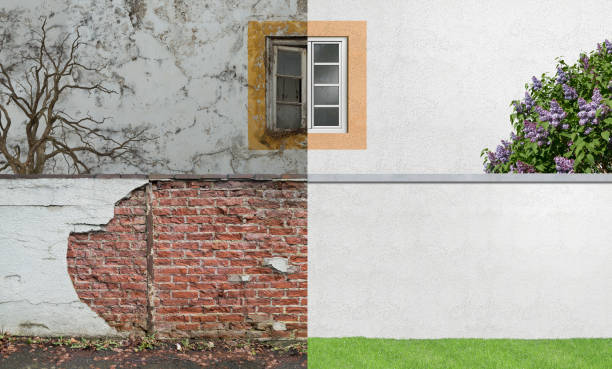 Best Mold Removal for HVAC Installations  in Botkins, OH